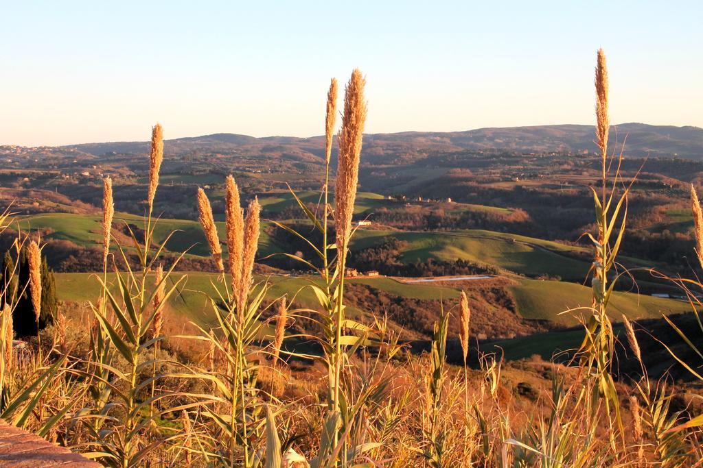 Agriturismo Le Docce Castelfiorentino Kültér fotó